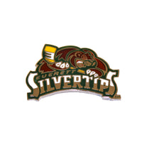 WHL Team Collectible Pin